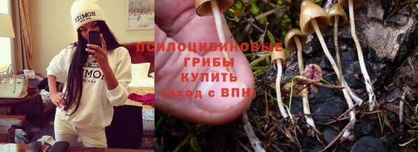 первитин Алексеевка