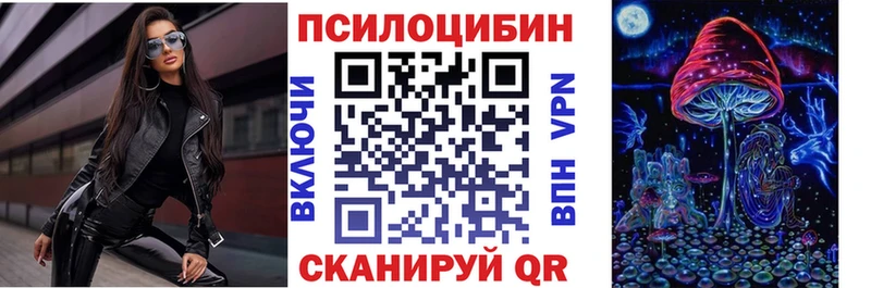 цены наркотик Заполярный Псилоцибиновые грибы Psilocybe