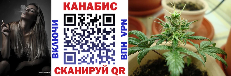 Канабис OG Kush  магазин продажи   Заполярный 